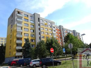 Prodej bytu 2+1, Mladá Boleslav, U stadionu, 61 m2
