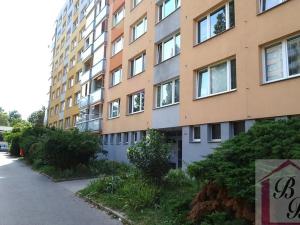 Prodej bytu 2+1, Mladá Boleslav, U stadionu, 61 m2