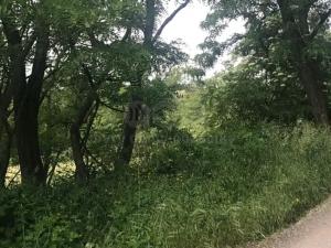 Prodej pozemku pro bydlení, Nebovidy, 2500 m2