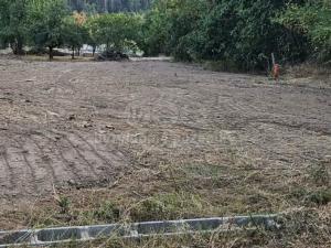 Prodej pozemku pro bydlení, Nebovidy, 2500 m2