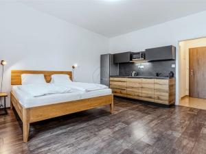 Prodej bytu 1+kk, Černá v Pošumaví, 28 m2