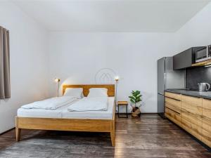 Prodej bytu 1+kk, Černá v Pošumaví, 28 m2