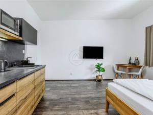 Prodej bytu 1+kk, Černá v Pošumaví, 28 m2