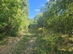 Prodej pozemku pro bydlení, Ústí nad Labem, Litoměřická, 5379 m2