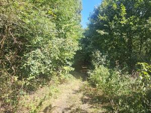 Prodej pozemku pro bydlení, Ústí nad Labem, Litoměřická, 5379 m2