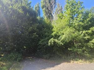Prodej pozemku pro bydlení, Ústí nad Labem, Litoměřická, 5379 m2