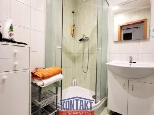 Pronájem bytu 2+1, České Budějovice, Prachatická, 52 m2