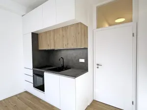 Pronájem bytu 1+kk, Praha - Braník, Branická, 30 m2