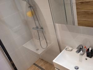 Pronájem bytu 3+kk, Tábor, Berlínská, 59 m2