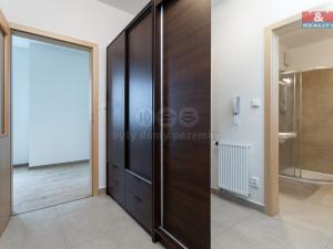 Pronájem bytu 1+kk, Plzeň - Litice, Vysoká, 38 m2