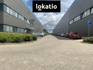 Pronájem skladu, Chrášťany, Za Tratí, 550 m2