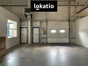 Pronájem skladu, Chrášťany, Za Tratí, 550 m2