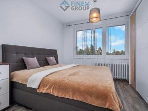 Prodej bytu 3+1, Veselí nad Lužnicí, 74 m2
