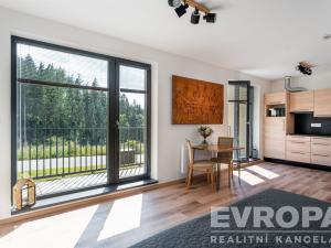 Prodej bytu 1+kk, Černý Důl, 33 m2