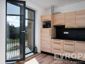 Prodej bytu 1+kk, Černý Důl, 33 m2