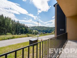 Prodej bytu 1+kk, Černý Důl, 33 m2