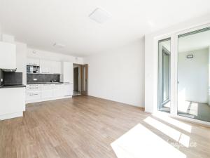 Pronájem bytu 2+kk, Praha - Holešovice, Jankovcova, 62 m2