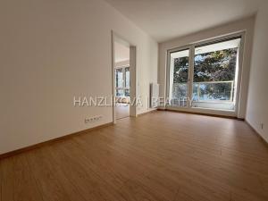 Pronájem bytu 2+kk, České Budějovice, Hálkova, 36 m2