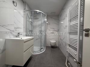 Pronájem bytu 2+kk, České Budějovice, Hálkova, 36 m2
