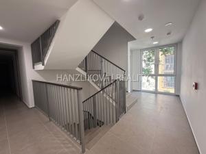 Pronájem bytu 2+kk, České Budějovice, Hálkova, 36 m2