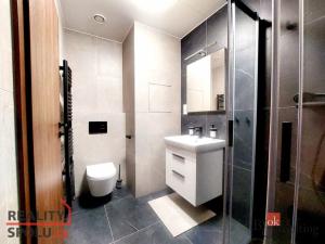 Pronájem bytu 1+kk, Plzeň, Na Jíkalce 3051/19, 38 m2