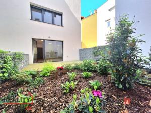 Pronájem bytu 1+kk, Plzeň, Na Jíkalce 3051/19, 38 m2