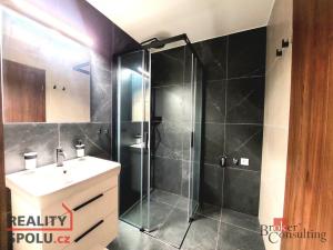 Pronájem bytu 1+kk, Plzeň, Na Jíkalce 3051/19, 38 m2
