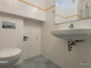 Pronájem bytu 1+1, Praha - Troja, Krynická, 37 m2