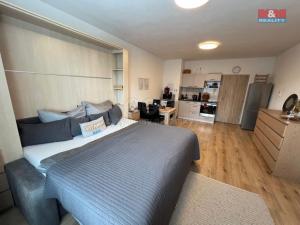 Pronájem bytu 1+kk, Plzeň - Valcha, Špačková, 32 m2