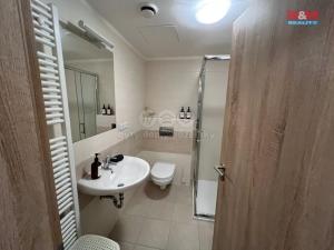 Pronájem bytu 1+kk, Plzeň - Valcha, Špačková, 32 m2