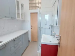 Pronájem bytu 1+kk, Brno, Botanická, 32 m2