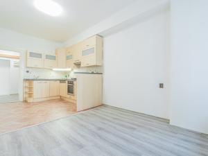 Prodej bytu 1+1, Praha - Žižkov, Lucemburská, 53 m2