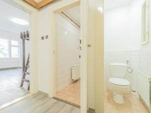 Prodej bytu 1+1, Praha - Žižkov, Lucemburská, 53 m2