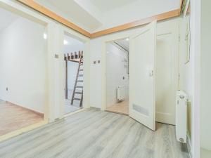 Prodej bytu 1+1, Praha - Žižkov, Lucemburská, 53 m2