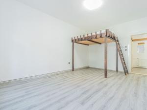 Prodej bytu 1+1, Praha - Žižkov, Lucemburská, 53 m2