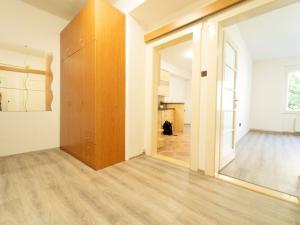 Prodej bytu 1+1, Praha - Žižkov, Lucemburská, 53 m2