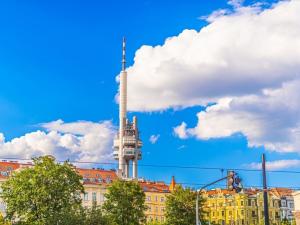 Prodej bytu 1+1, Praha - Žižkov, Lucemburská, 53 m2