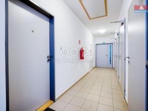 Pronájem bytu 1+kk, Plzeň - Valcha, Špačková, 33 m2