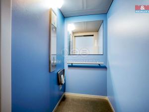 Pronájem bytu 1+kk, Plzeň - Valcha, Špačková, 33 m2