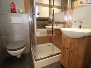 Pronájem bytu 1+kk, Mariánské Lázně, Hlavní třída, 25 m2