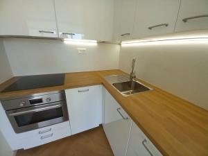 Pronájem bytu 2+kk, Praha - Vinohrady, Londýnská, 47 m2