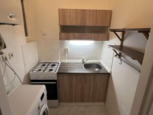 Pronájem bytu 1+kk, Praha - Vokovice, Africká, 30 m2