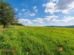 Prodej pole, Chrastava - Horní Chrastava, 21471 m2