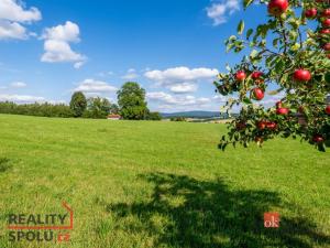 Prodej louky, Chrastava - Horní Chrastava, Frýdlantská, 7126 m2