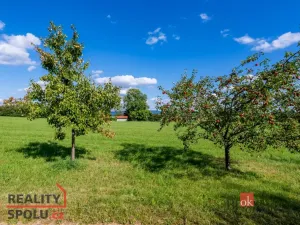 Prodej louky, Chrastava - Horní Chrastava, Frýdlantská, 7126 m2