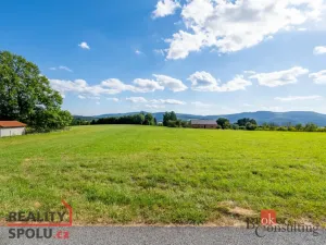 Prodej louky, Chrastava - Horní Chrastava, Frýdlantská, 7126 m2