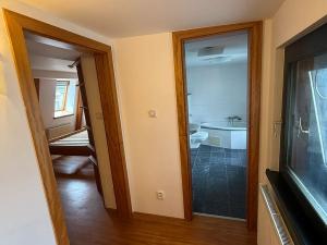 Pronájem bytu 5+kk, Liberec, Frýdlantská, 165 m2