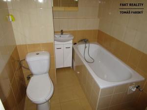 Pronájem bytu 1+kk, Děčín, Želenická, 25 m2