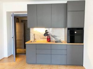 Pronájem bytu 2+kk, Praha - Žižkov, Radhošťská, 50 m2