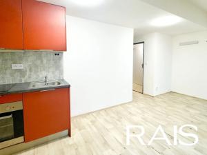 Prodej bytu 1+1, Brno, 39 m2